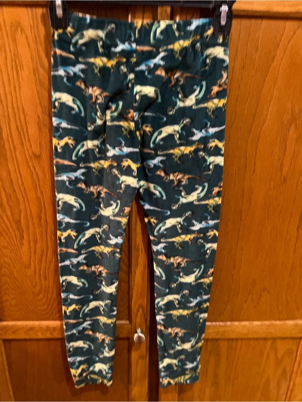 Cat and Jack Dinosaur Fleece Two Piece Pajamas